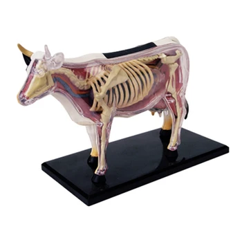 Анатомическая Модел орган на животното 4D Играчка за сглобяване на Интелигентност Крави Обучение Анатомическая Модел САМ Научно-Популярна Техника